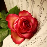 Музика от рози